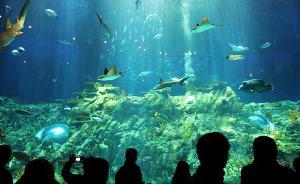 消费者口述：强制购物、变相收费，我所经历的低价港澳游