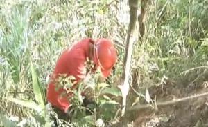 父亲将出生的女婴抛下山崖：我重男轻女