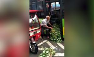 公交司机被自媒体冤枉赶老人,索赔1元