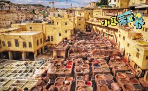 在菲斯，我買回幾雙鴿子糞味兒的皮具| 小匹看世界