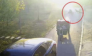 为护儿,母亲遭3条大狗围攻撕咬致重伤