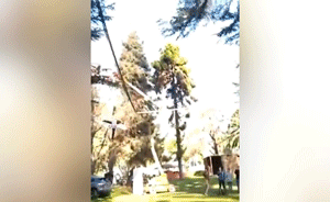 智利女模特玩叢林彈射，空中晃蕩險(xiǎn)身亡