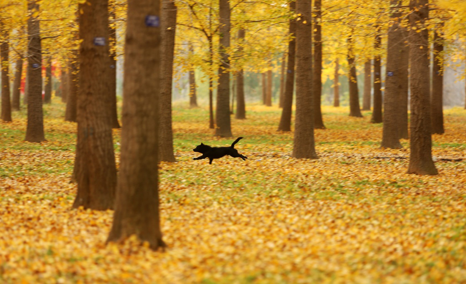 11-M_XxjpsgC000133_20181114_TPPFN1A001