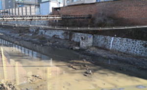 督察回頭看｜吉林遼源“光說不練”，仙人河黑臭問題依然突出