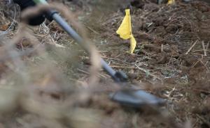 中越邊境廣西段深度排雷任務(wù)完成，官兵手拉手徒步蹚過雷場