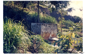 世界廁所日｜鎮(zhèn)委書記談廁所：“小事”往往會影響“大局”