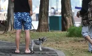 两狗打架一狗主被咬伤，谁担责？顺德法院判了：不牵绳的一方