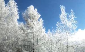 “中國冷極”根河出現(xiàn)霧凇，如童話世界