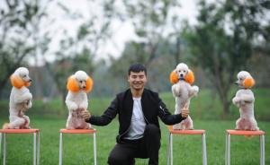 男子訓(xùn)狗十年舉行全國巡演，貴賓犬會20多種技能才藝