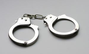 男子謊稱招聘童星誘騙31名兒童做淫穢動(dòng)作，獲刑11年