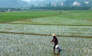 最高法：依法維護土地承包關(guān)系長久不變，保護農(nóng)民人格權(quán)