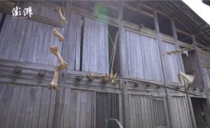 福建延平，這群人從夏季就開始駐村創(chuàng)作