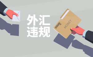 這里有外匯局近兩年的十次通報(bào)，帶你看看外匯違規(guī)的套路