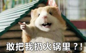 男子將死老鼠放進火鍋索賠五百萬，涉敲詐勒索被豐臺警方刑拘