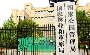 国家林草局：大力推行“林长制”，建立五级林长制体系