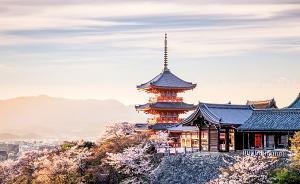 在日本遇见花艺，遇见有文艺心的花艺师大叔