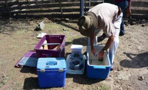 在惡性循環(huán)的人獸沖突中，如何請走“進擊的大象”？