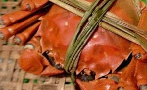 一只清水大闸蟹