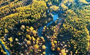 11月12日，外交部將向全球推介黑龍江