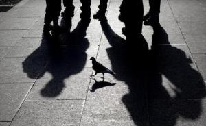 湖北鶴峰一受撤職處分干部年度考核仍合格：相關(guān)6人被問(wèn)責(zé)