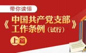 图解 | 带你读懂《中国共产党支部工作条例（试行）》上篇