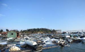 馬上評｜泉港碳九泄漏：充分有效回應(yīng)關(guān)切迫在眉睫