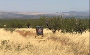 一場因預測寶寶性別引發(fā)的離奇山火