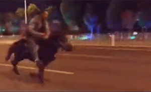 男子街頭騎馬狂奔闖紅燈，路人圍觀拍攝