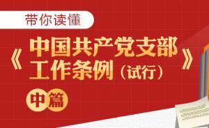 图解：带你读懂《中国共产党支部工作条例（试行）》中篇