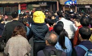 杭州一動物園老虎出逃成隱患？園方：外放時(shí)觸碰電網(wǎng)，已收籠