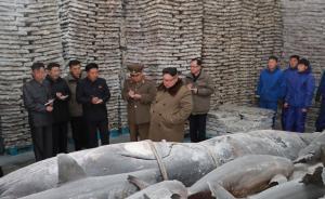 金正恩冬季視察漁業(yè)基地：恨不得抽時間與捕魚工一起出海捕魚