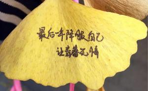 中學(xué)生們?cè)谛@銀杏落葉上寫青春字句，網(wǎng)友：熱烈而純真