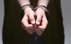 浦東警方：一女子因坐過站拉公交車方向盤引發(fā)事故，已被刑拘
