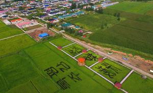 美麗鄉(xiāng)村｜中俄朝邊境的“老人村”光東村， 種稻旅游兩不誤