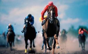 媒體：海南省否認(rèn)重啟賽馬規(guī)劃研制工作