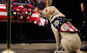 今天將是“薩利”服務(wù)老布什的最后一天