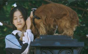 《狗十三》：長(zhǎng)大這件小事