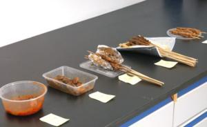 羊肉串5份樣品2份不合格，網(wǎng)紅店樣本甚至查出不明物質(zhì)
