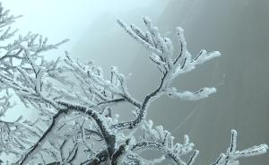 天柱山迎入冬后首場(chǎng)降雪