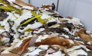 网售流浪猫皮马甲？ 专家：从经济角度不可信，或为哗众取宠