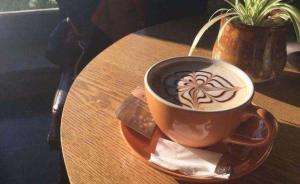 從咖啡館數(shù)量看城市宜居性：繁榮城市街道商業(yè)需建步行道系統(tǒng)