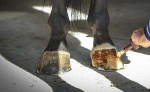 今年已有十余名縣委書記被查：12月以來(lái)四地縣委書記落馬