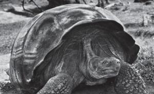 薩爾加多：如果你不喜歡等待，就不能成為一名攝影師