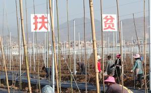 国务院扶贫办：观摩、调研活动不得送收扶贫产品