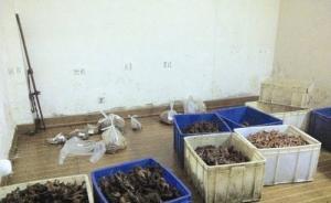 市场监管总局典型案例：武汉查处若干假冒“周黑鸭”黑窝点