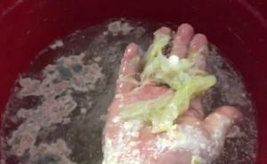 酸菜發(fā)臭，承德一村飲水有毒物超30倍