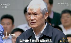 這部大片里，周永康薄熙來孫政才等9“虎”罕見同框