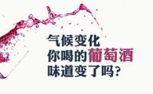 種植區(qū)北移、采摘期提前，氣候變化正在影響你的葡萄酒