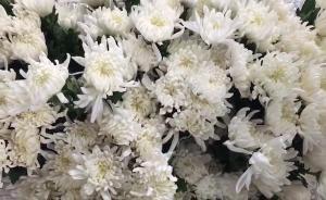 戰友憶二月河：待人和善且有才氣