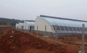 全國“大棚房”問題專項整治，已發(fā)現(xiàn)占耕地違建11.4萬個